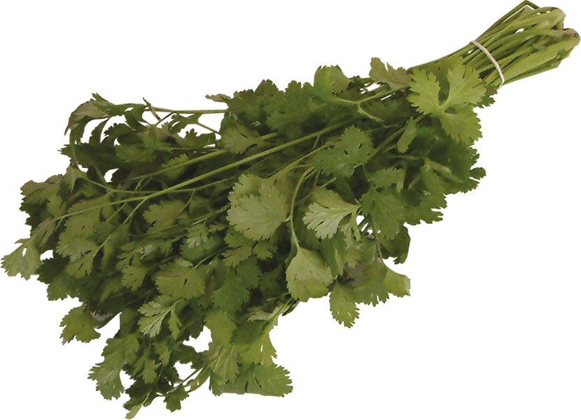 coriander-per-bunch.jpg